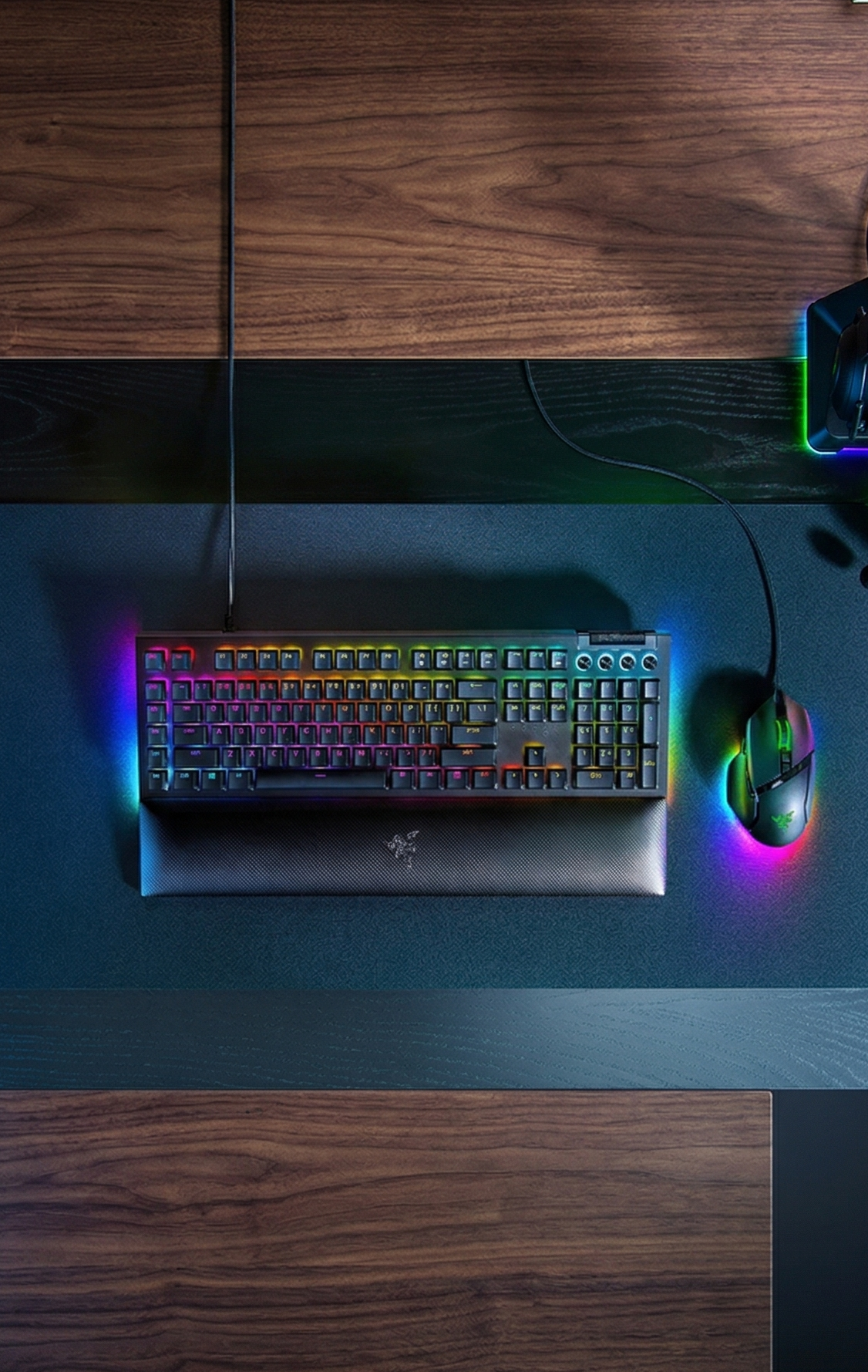 Razer BlackWidow V4